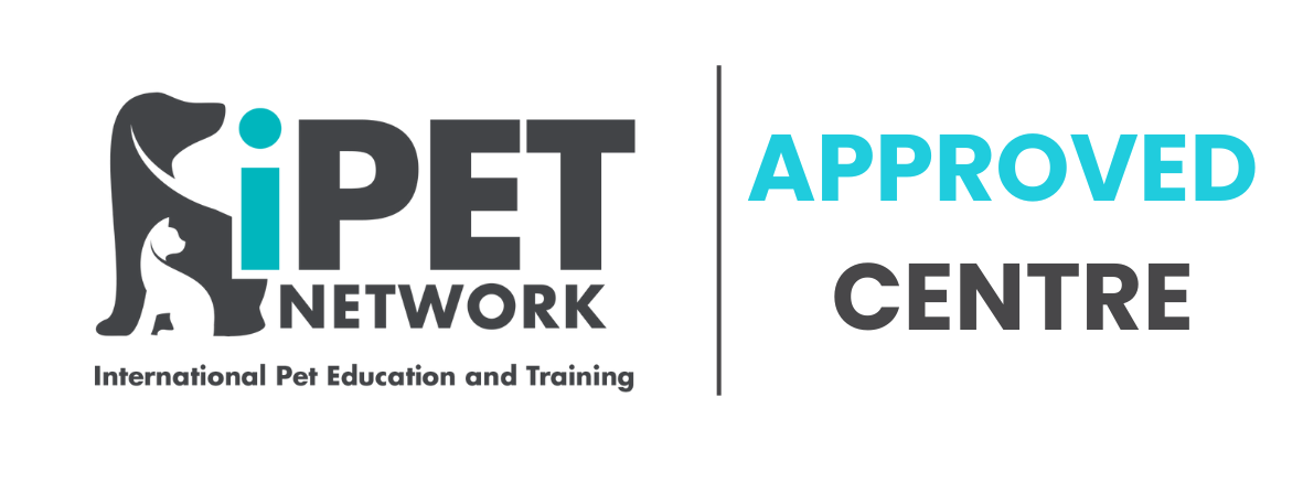 iPet network logo